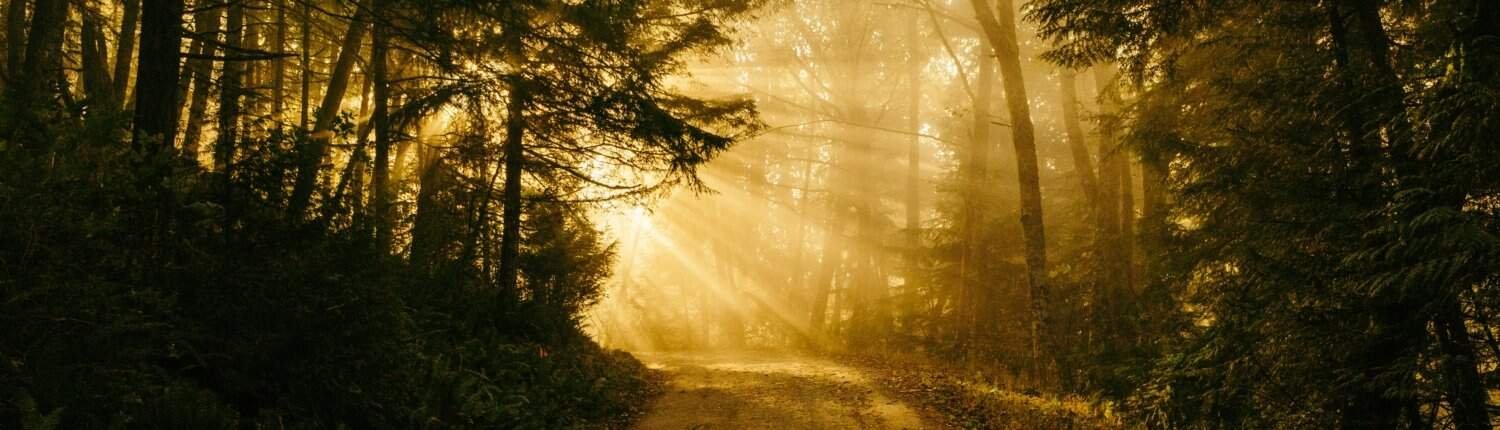 patrick fore 74TufExdP3Y unsplash