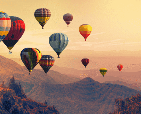 organisational culture sparkonward