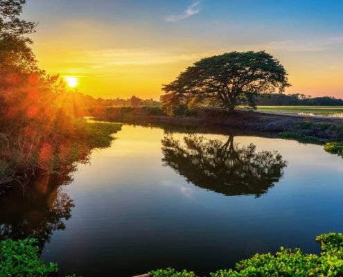 The Discovery Paradox - why seeing yourself changes everything 2 the discovery paradox