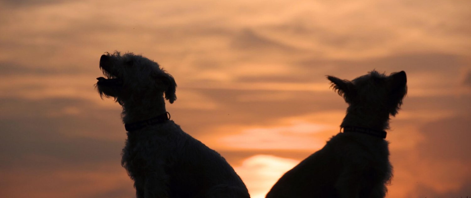 Power dynamics hidden power dynamics between people