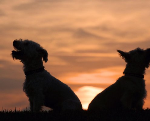 hidden power dynamics between people