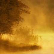 hazy fall scene depicting life transitions and midlife