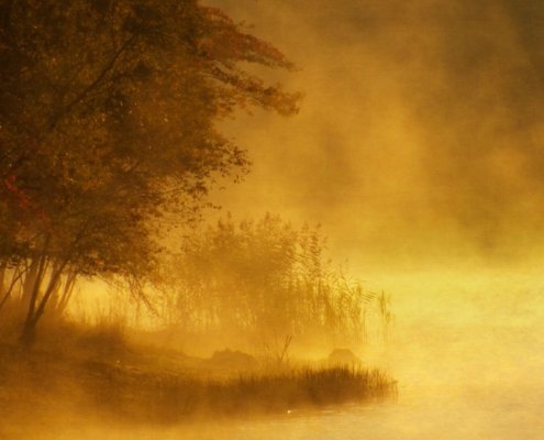 hazy fall scene depicting life transitions and midlife